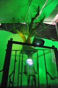 How does it come alive and touch you so deeply (c) G. Wouters 